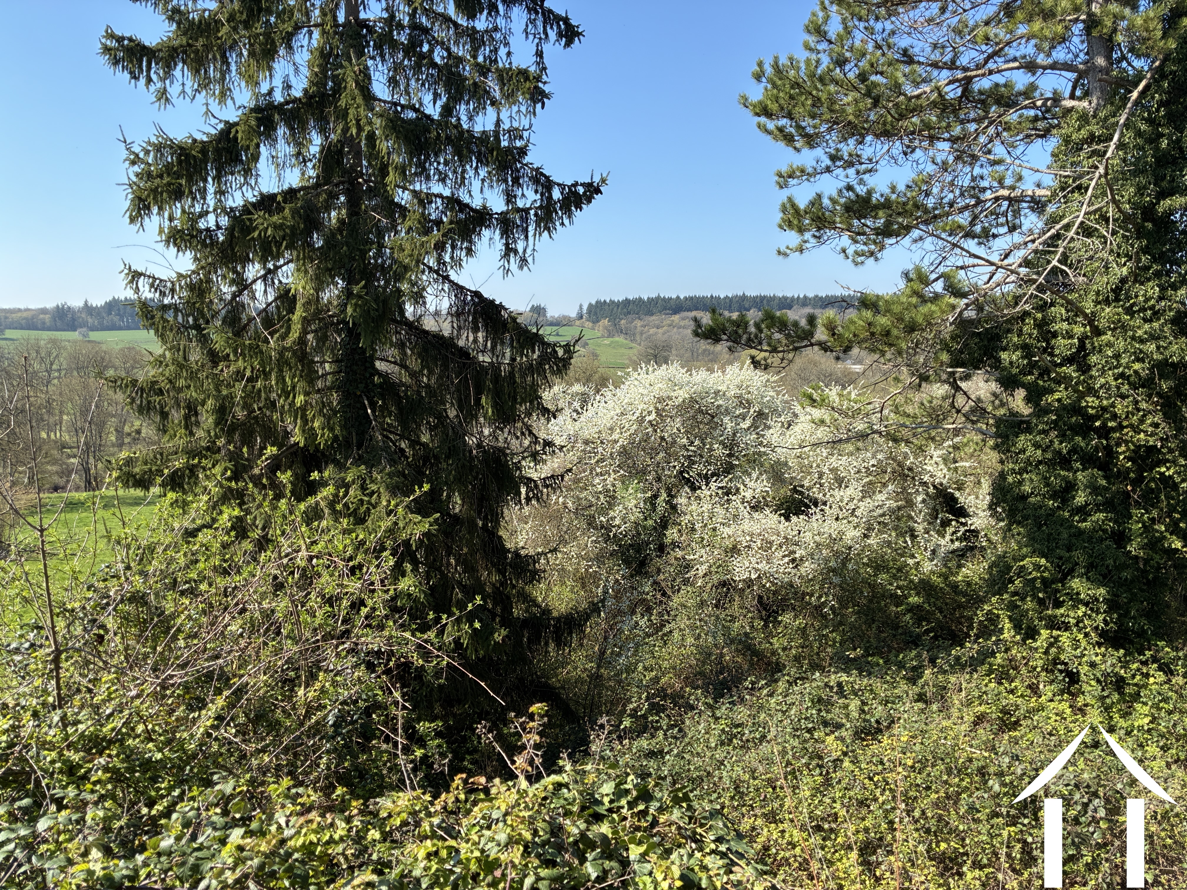 House for sale mont et marre, burgundy, cvh 5658 Image - 15