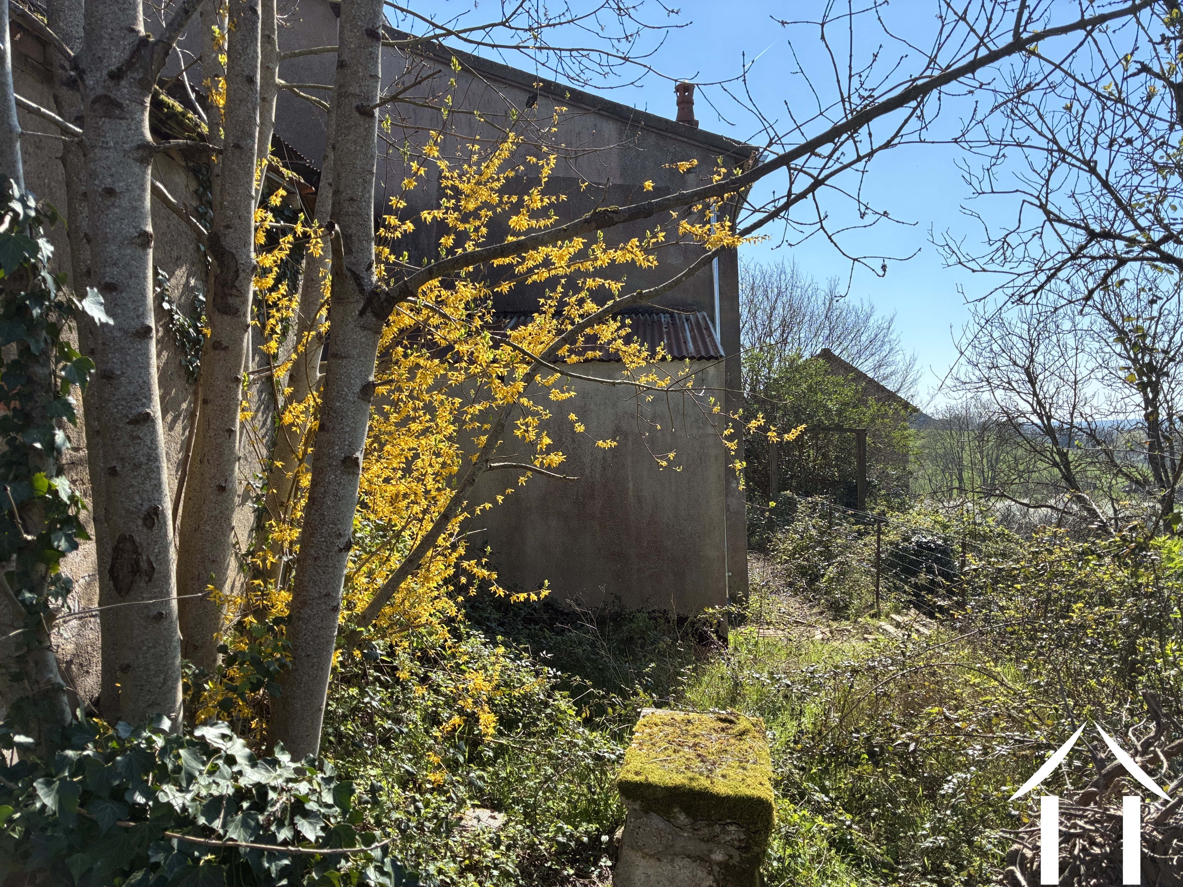 House for sale mont et marre, burgundy, cvh 5658 Image - 16