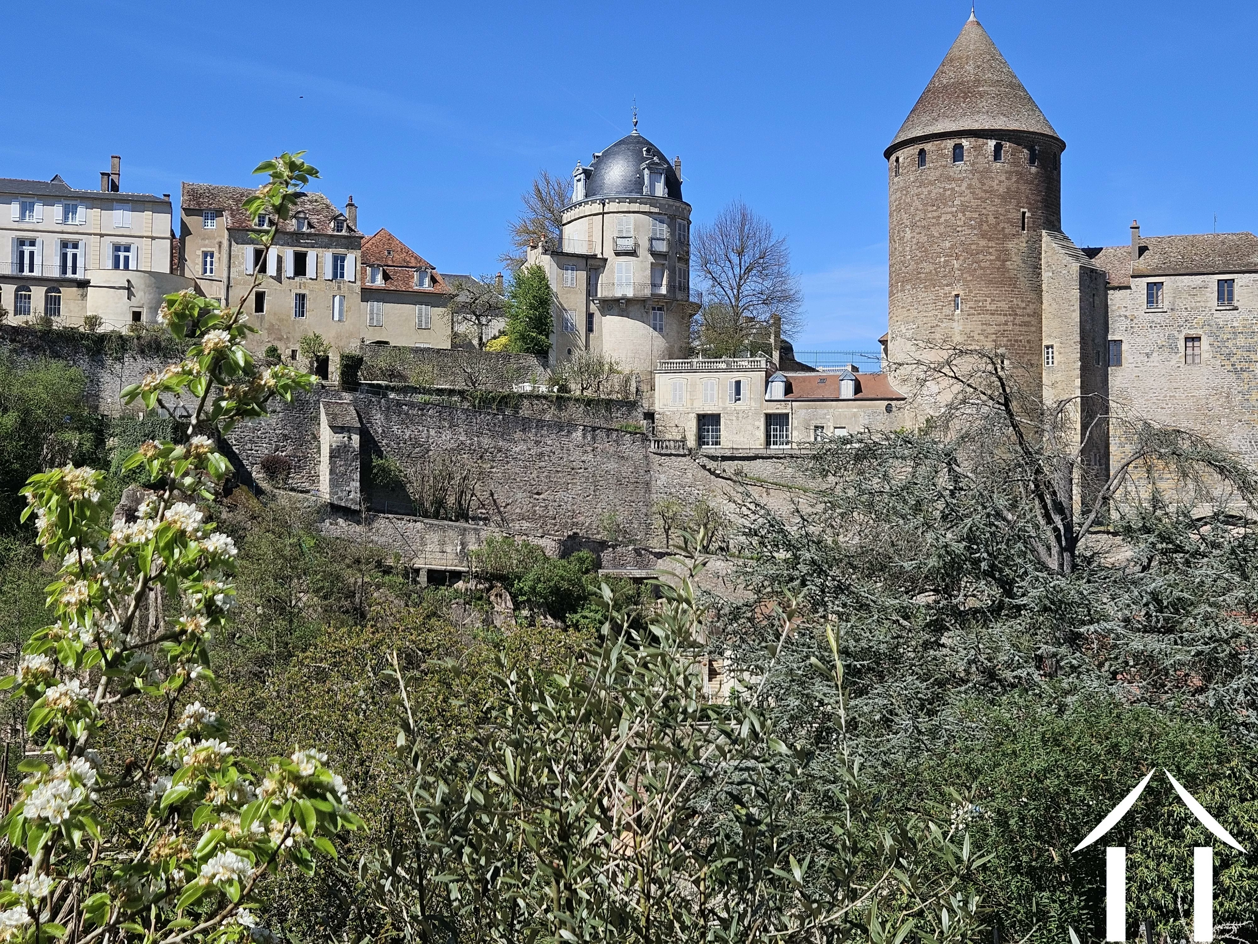 Town views from garden