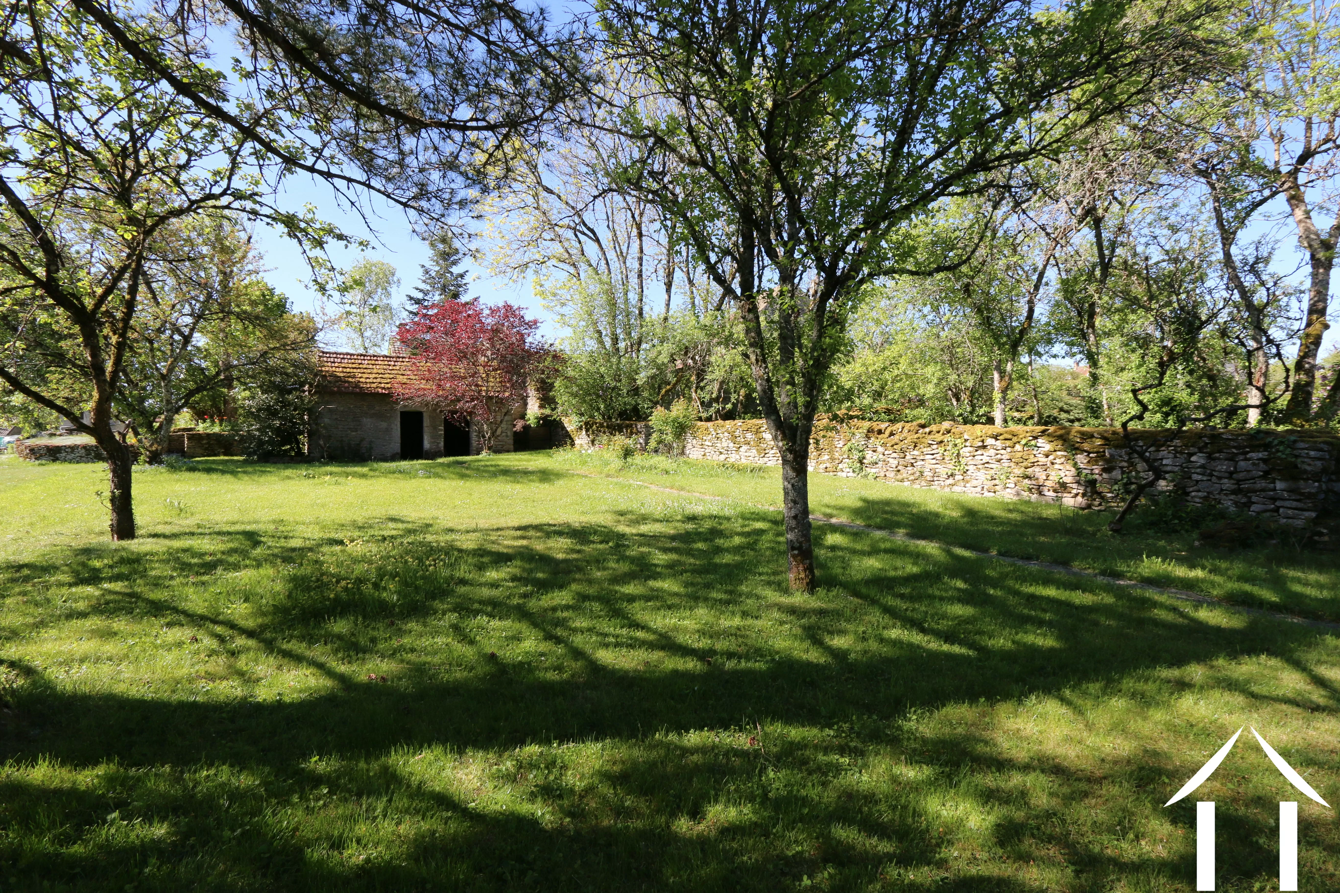 Garden with garden shed