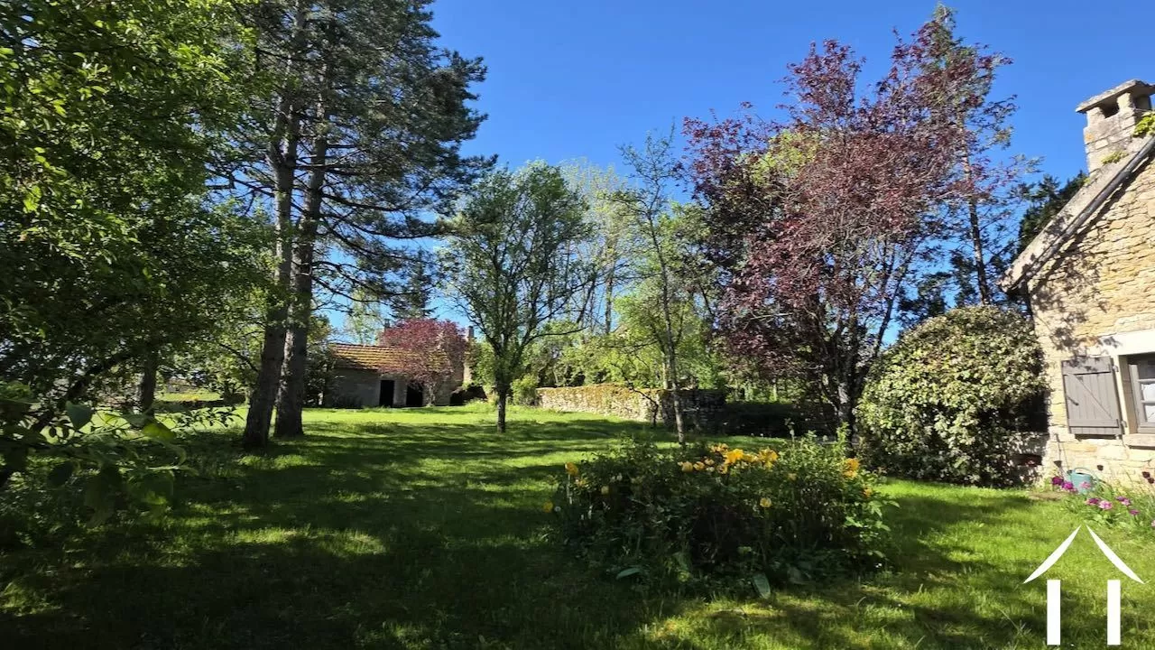 Garden with garden shed