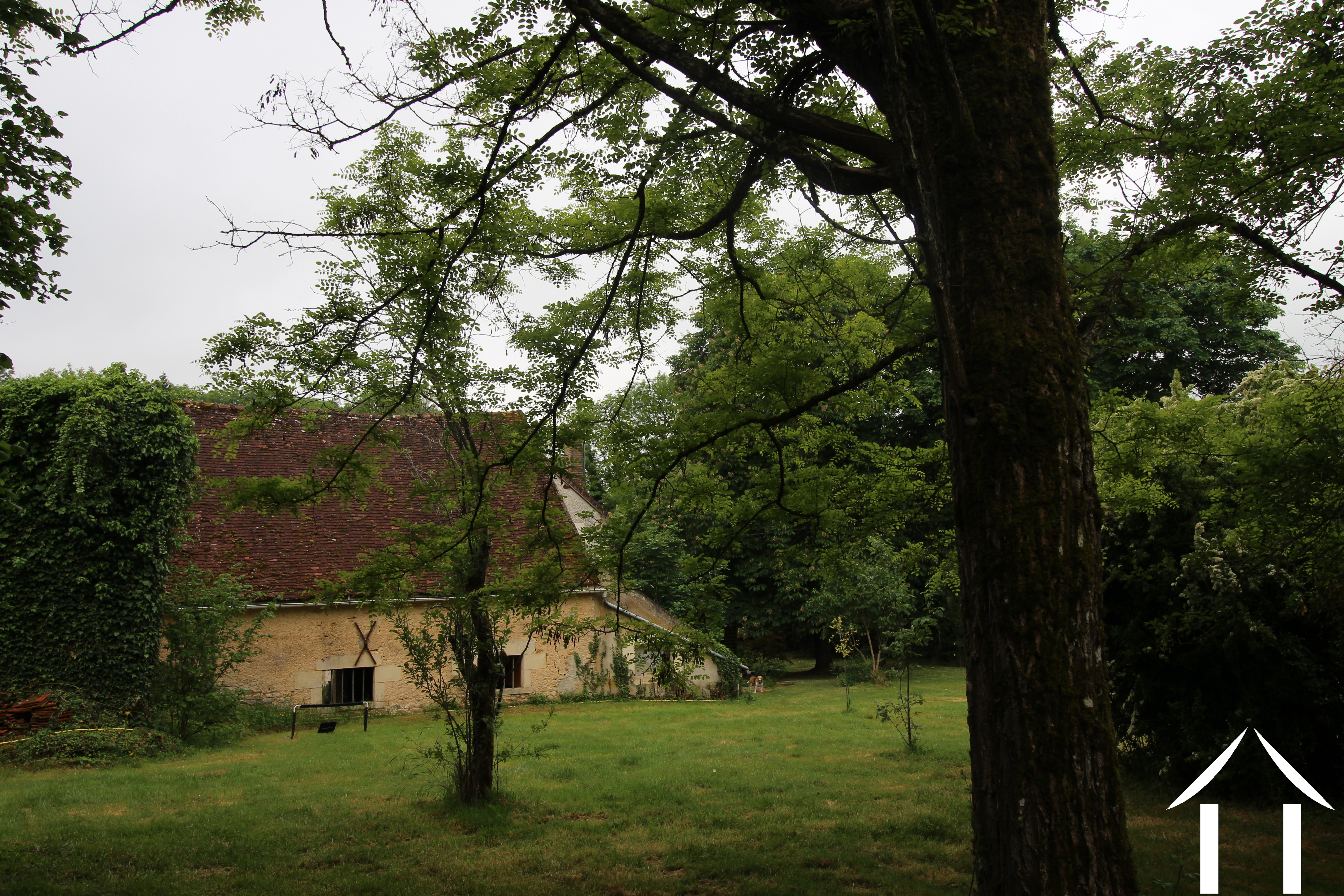 House for sale menestreau, burgundy, LB5671N Image - 6