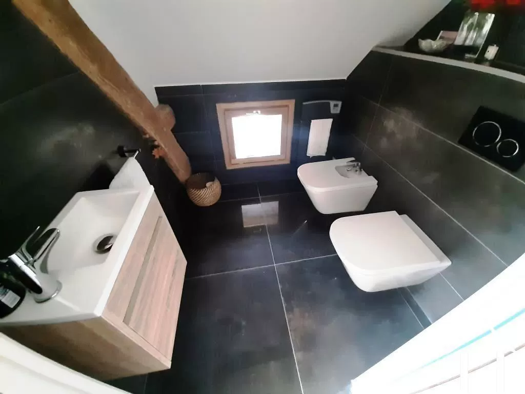 Master suite toilet, bidet and wash basin.