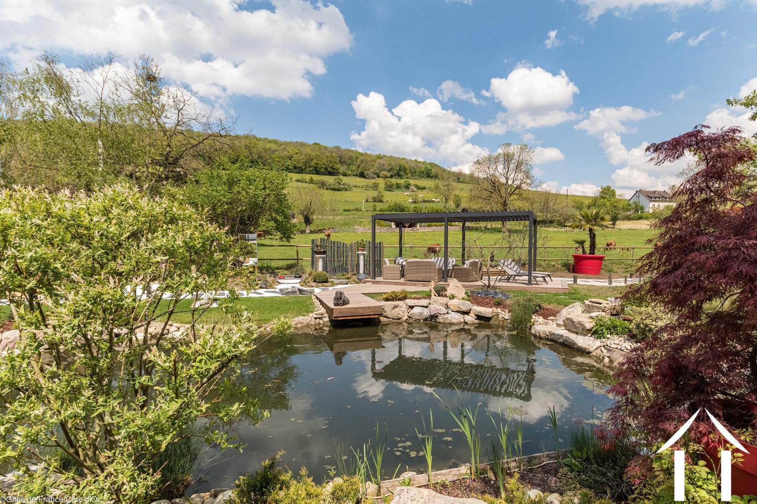 Garden fish pond Carp to pergola and Japanese gardens