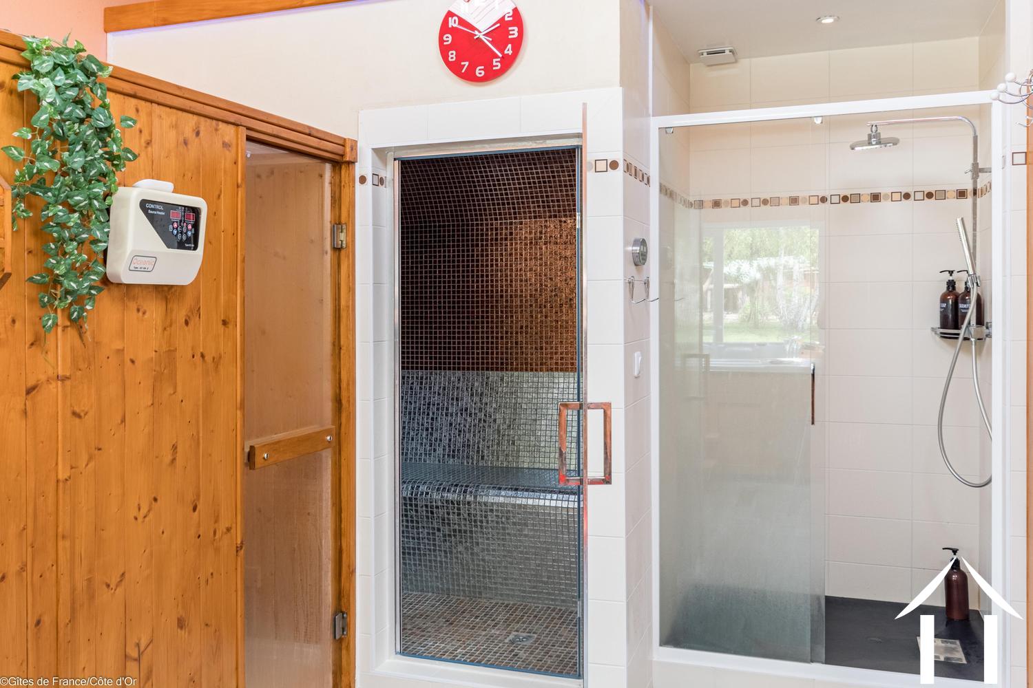 Steam room and sauna 