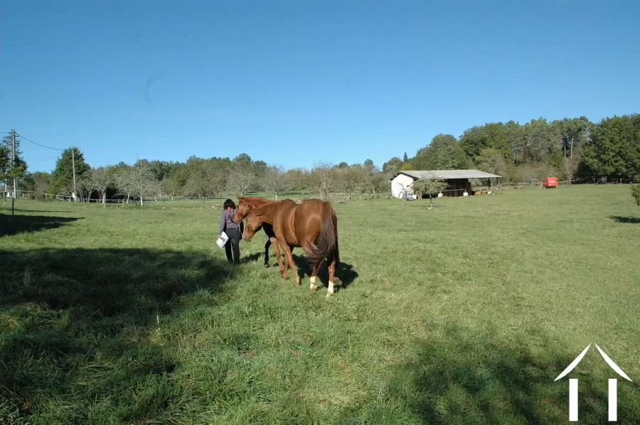 Farmhouse for sale hautefort, aquitaine, GVS3344C Image - 8