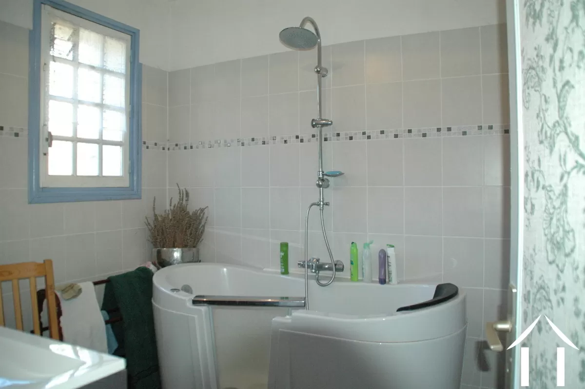 House for sale savignac les eglises, aquitaine, GVS4882C Image - 5