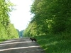 Forest near Chatillon