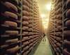 The famous comté cheese