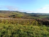 The Chalon wine hills in winter