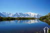 Mont blanc and Alps skiing