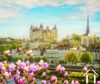 REGIONAL FEATURE image-4