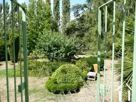 The garden (nearly half an acre of it) is like parkland with a wide range of mature trees and bushes.