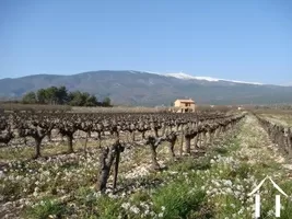 Cottage for sale bedoin, provence-cote-d'azur, 2096 Image - 10