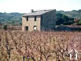 House for sale fitou, languedoc-roussillon, AS110007FI Image - 2