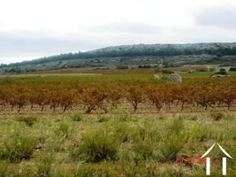 House for sale fitou, languedoc-roussillon, AS110007FI Image - 4