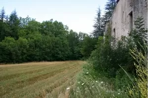 Barns and ruins for sale olargues, languedoc-roussillon, U340522159 Image - 3