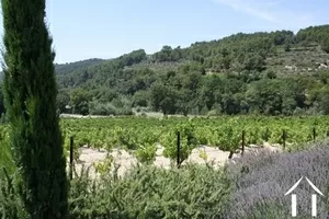 Bed and Breakfast  for sale beaumes de venise, provence-cote-d'azur, 11-2138 Image - 4