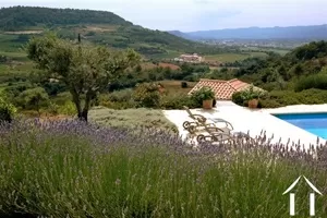 House for sale st chinian, languedoc-roussillon, 11-2158 Image - 10