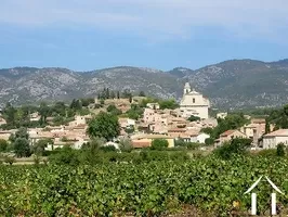 Property 1 hectare ++ for sale bedoin, provence-cote-d'azur, 11-2146 Image - 10