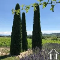 House with guest house for sale bedoin, provence-cote-d'azur, 11-2369 Image - 10