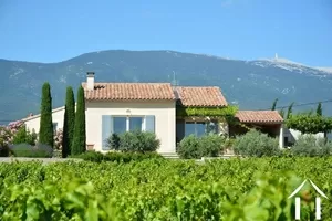 House with guest house for sale bedoin, provence-cote-d'azur, 11-2369 Image - 13
