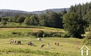 Land for sale la salvetat sur agout, languedoc-roussillon, 2441 Image - 6