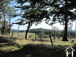 Land for sale la salvetat sur agout, languedoc-roussillon, 2441 Image - 7