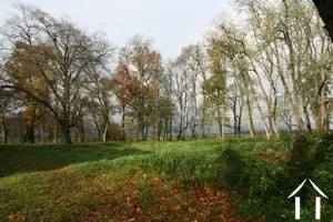 Other property for sale bourbon lancy, burgundy, BP7811BL Image - 9