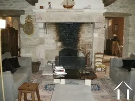 salon with fireplace