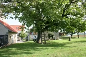 House with guest house for sale varennes les narcy, burgundy, LB2815N Image - 6