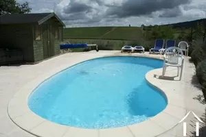 Pool with vineyards in background
