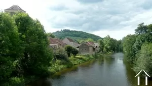 Village by the River Cure