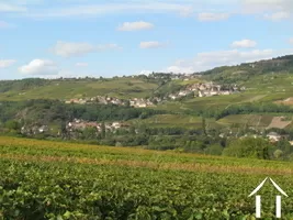 Une autre vue du vignoble