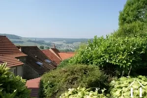 views from garden