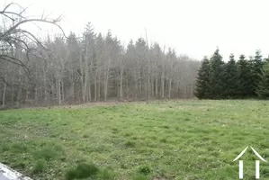 woodland of property