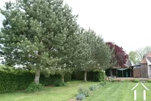 Mature trees