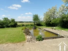 garden with pond