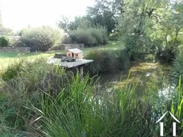 garden with pond