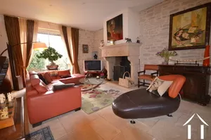 salon with Burgundy stone fireplace