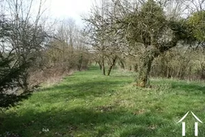 Walk way beside the pond