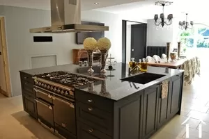 luxurious kitchen