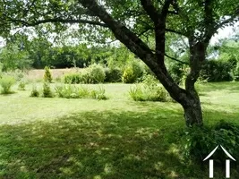 garden with fruit trees