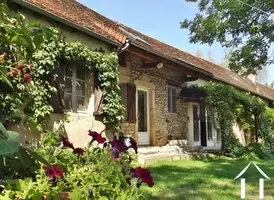 house from the garden in summer