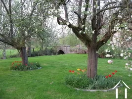 joli parc avec une rivière au fond