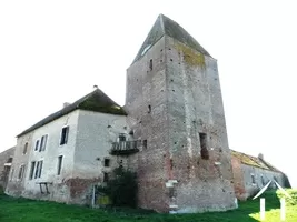 Castle, estate for sale verdun sur le doubs, burgundy, AH4550B Image - 1