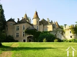 Castle, estate for sale st gengoux le national, burgundy, JP4644S Image - 6