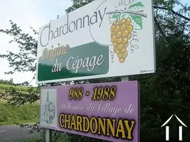 Chardonnay village over a millenium
