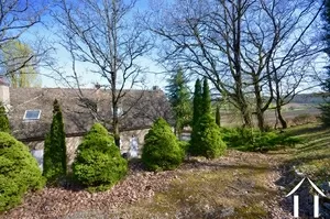 view from the top of the garden