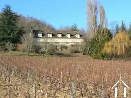 property as seen from the vineyard